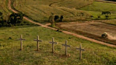 Brasil Registra 1.149 Óbitos em Conflitos Agrários Desde 1996