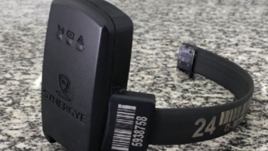 Conflito entre Governo Federal e Estado de São Paulo pelo Liderança no Programa de Proteção às Mulheres