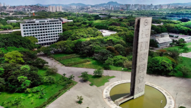 Estudante da USP Desaparece Após Ir Lutar na Guerra da Ucrânia