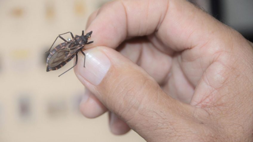 Governo Aloca R$ 12 Milhões no Combate à Doença de Chagas