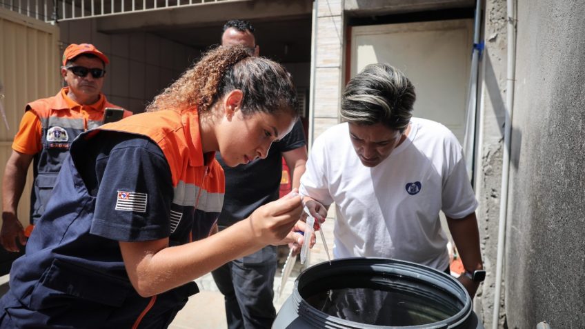 Governo de SP Revela: 80% dos Casos de Dengue Originam-se em Residências