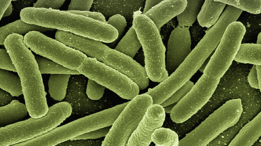 Hidrogel Brasileiro Combate Superbactérias com Nova Fórmula Inovadora