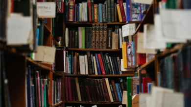 MEC Lança App Grátis com Acesso a 8 Mil Títulos de Livros