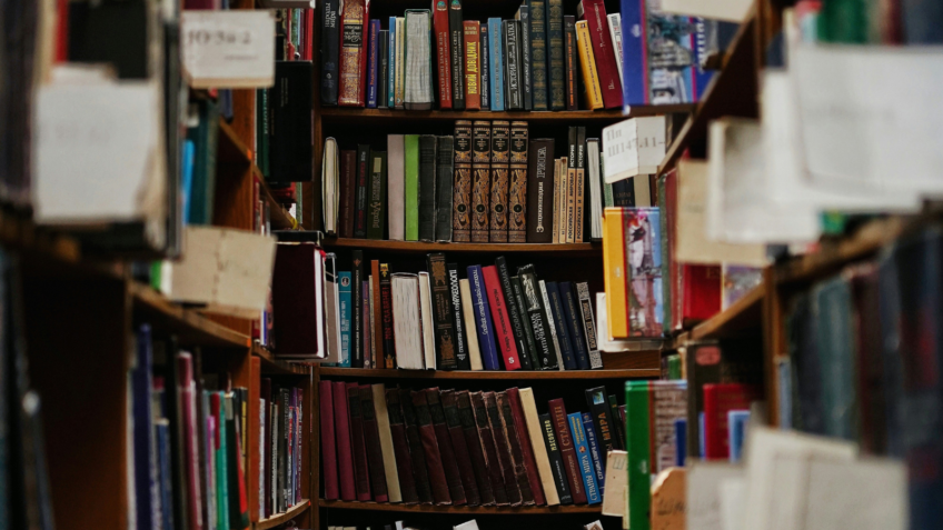 MEC Lança App Grátis com Acesso a 8 Mil Títulos de Livros