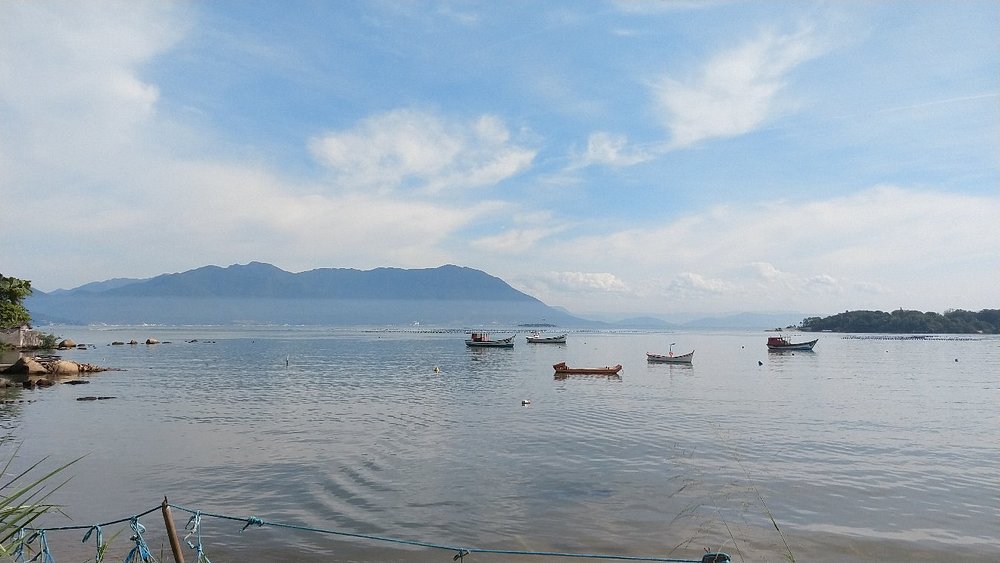 Melhores Locais para Saborear Ostras em Florianópolis: Um Guia Completo do Ribeirão da Ilha
