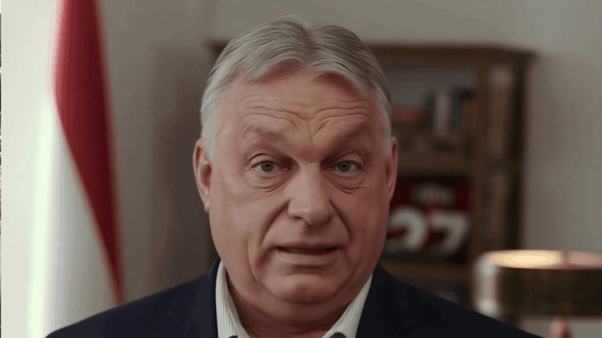 Membros do PT Celebram a Derrota de Orbán nas Eleições da Hungria