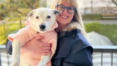 Mulher aluga jato particular para evitar que sua cachorrinha viaje no compartimento de bagagem