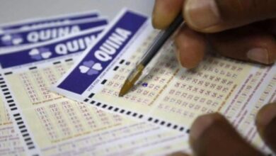 Quina 6997: Prêmio acumula e alcança R$ 12 milhões!