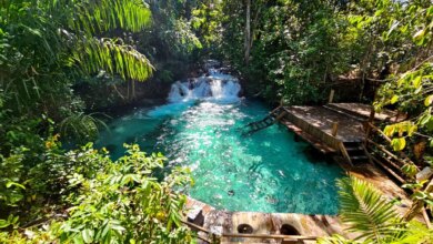 Taxa de Visitação no Jalapão: Descubra os Valores a partir de Maio!
